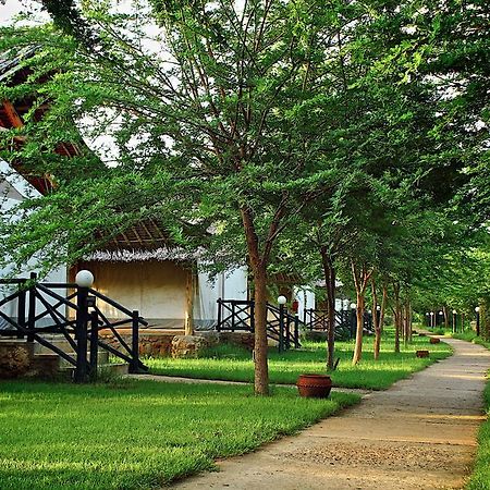 Manyatta Camp Hotel Voi Kültér fotó