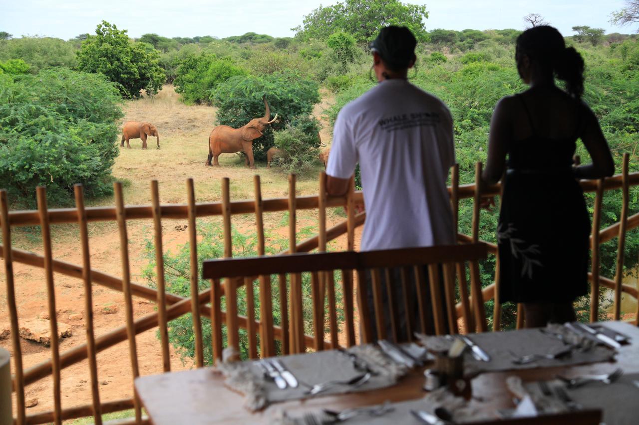 Manyatta Camp Hotel Voi Kültér fotó